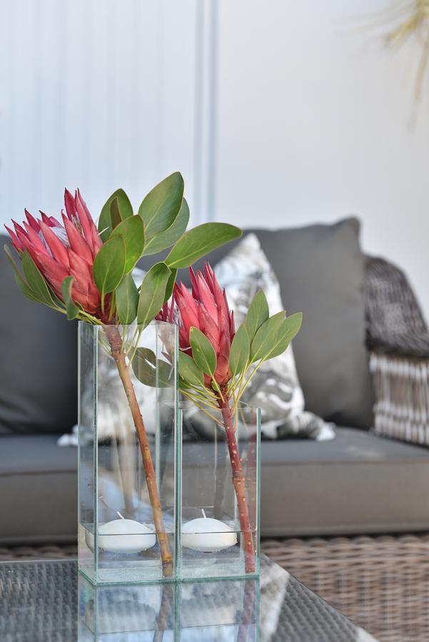 Vilacqua Boutique Guest Villa Plettenberg Bay Exterior photo